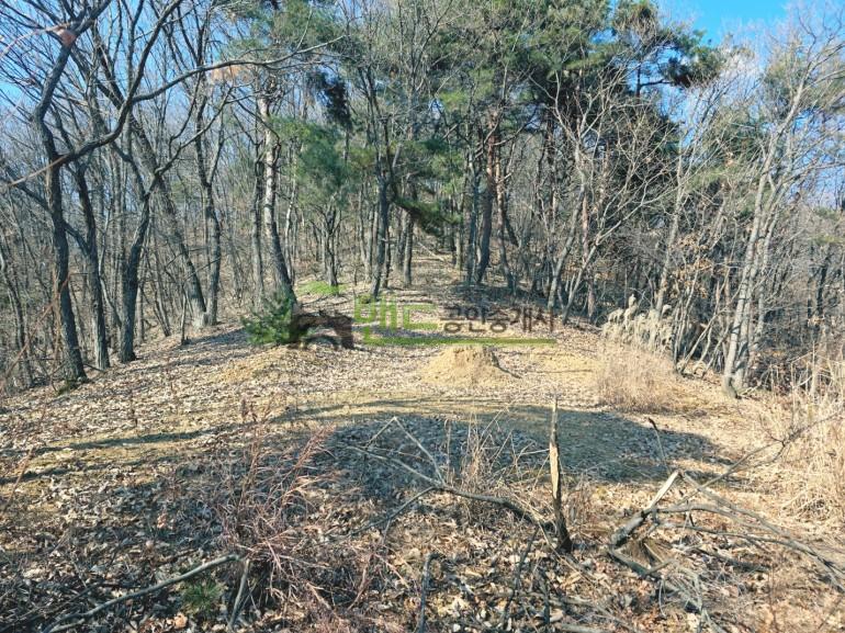 용인시 처인구 이동읍 묘봉리  매매 이동읍 497평 묘자리매매 39,760만원 | 10032 사진 1