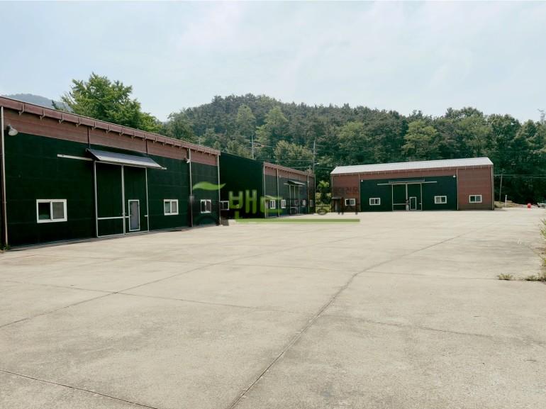 안성공장창고임대 대지 1854평 건물 269평 넓은야적장 건물 4개동 즉시입주가능